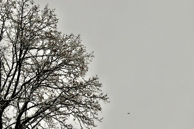 Wetterbild (Foto: agl)