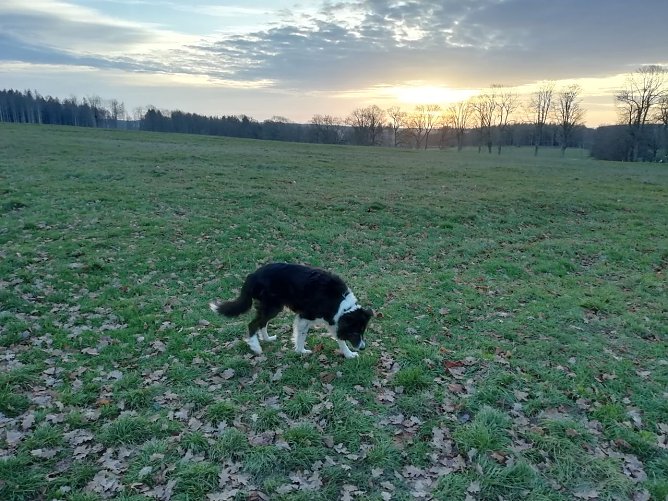 So zeigte sich der Neujahrsmorgen im Harz (Foto: W. J&ouml;rgens)