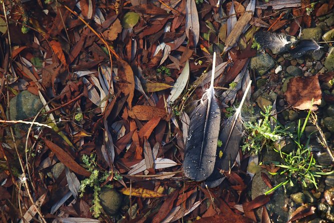 Wetterbild (Foto: agl)