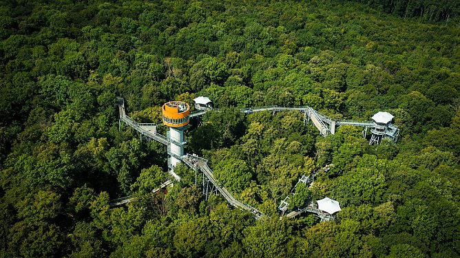 Hoch oben über dem Baumkronenpfad (Foto: Trixi Mohring) Hoch oben über dem Baumkronenpfad (Foto: Trixi Mohring)