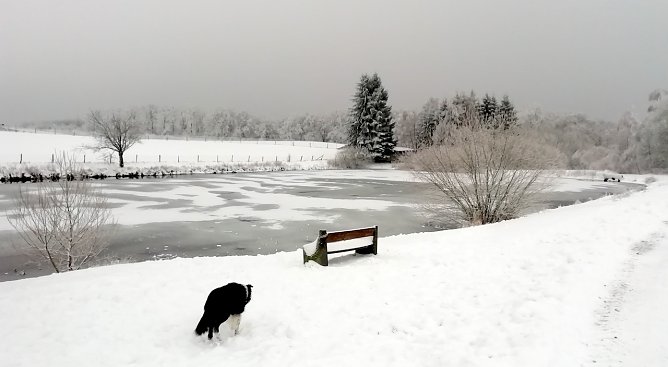 Der winterliche Harz lädt bei Werten um den Gefrierpunkt zu Spaziergängen ein (Foto: W.Jörgens) Der winterliche Harz lädt bei Werten um den Gefrierpunkt zu Spaziergängen ein (Foto: W.Jörgens)