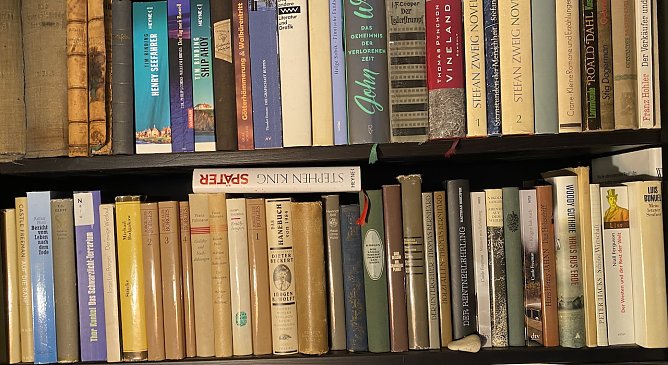 B&uuml;cherregal (Foto: oas)