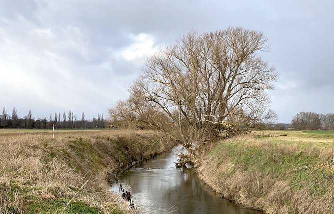 Meteorologen bescheinigen einen zu warmen Februar. Hier an der Unstrut (Foto: oas)