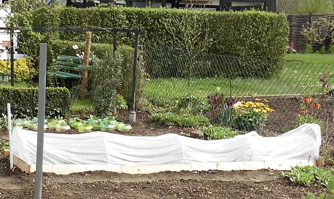 Garten-Tipps f&uuml;r den April (Foto: Werner Schumann)