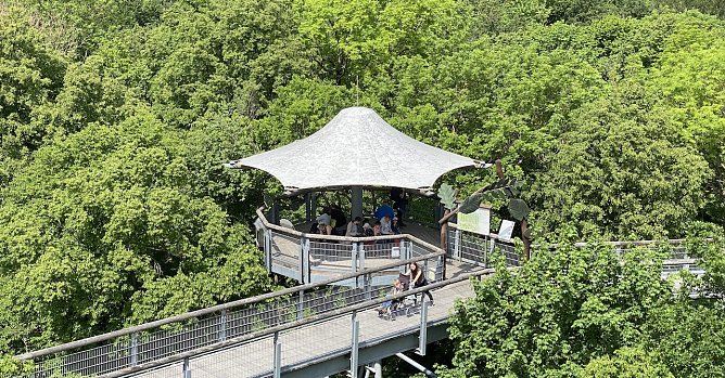 Der Baumkronenpfad passt seine &Ouml;ffnungszeiten an (Foto: uhz)