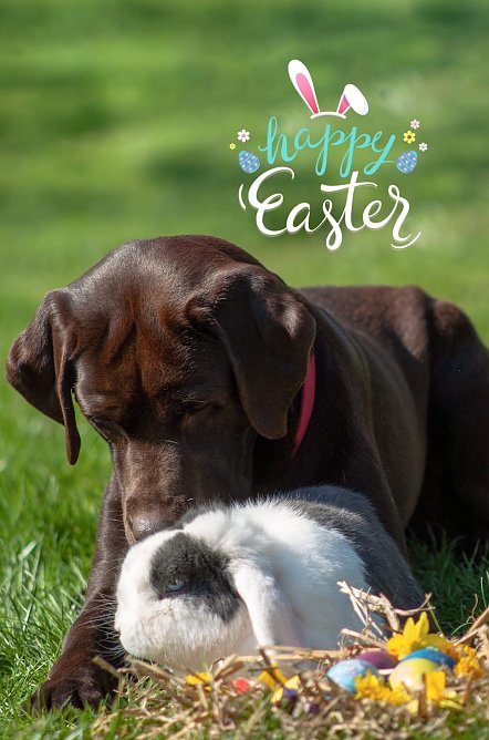 Zwei gute Freunde (Foto: T. Scholz)