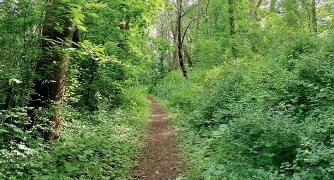 Am Rieseninger Berg  (Foto: Stadtverwaltung M&uuml;hlhausen)