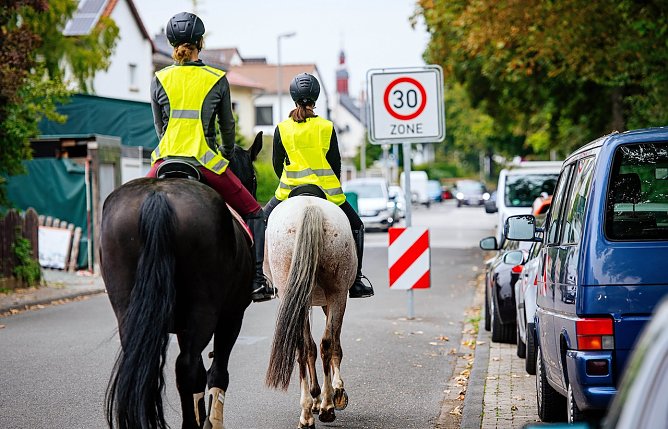 F&uuml;r Reiter gelten im Stra&szlig;enverkehr die gleichen Vorschriften wie f&uuml;r Autofahrer (Foto: Steve Bauerschmidt)