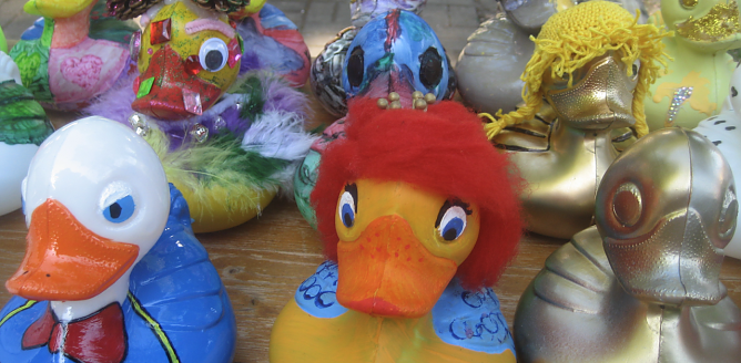 Entenrennen in Bad Langensalza (Foto: Markus Fromm)