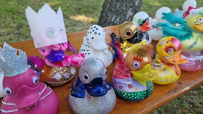 Das verr&uuml;ckteste Federvieh war wieder am Start. der die Glimmer/Glitter-Truppe (Foto: G.Haase)