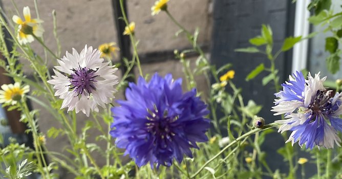 Zurückgehende Temperaturen nach Gewittern am Montag (Foto: emw) Zurückgehende Temperaturen nach Gewittern am Montag (Foto: emw)