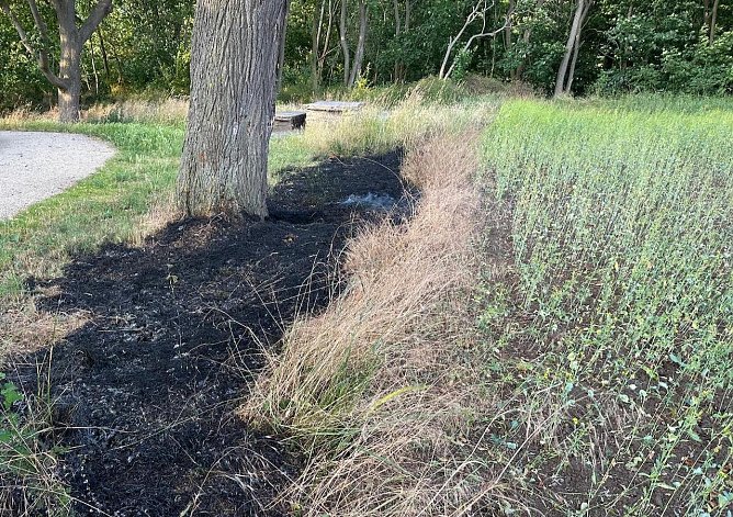 Verbrannte Wiese (Foto: Feuerwehr Bad Langensalza)