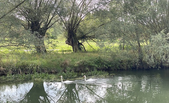An der Unstrut bei N&auml;gelstedt (Foto: oas)
