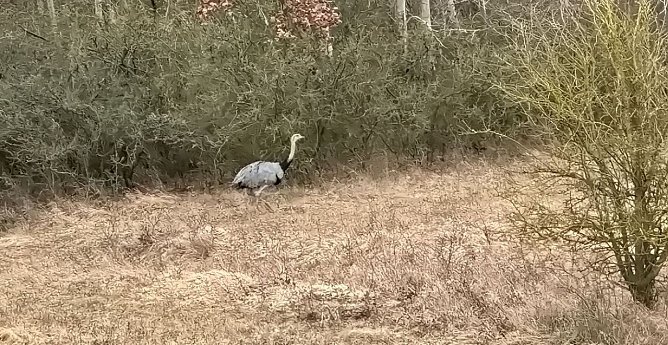 Ausgeb&uuml;chst (Foto: Privat)