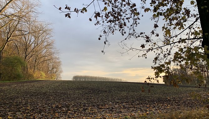 Wetter (Foto: Eva Maria Wiegand)