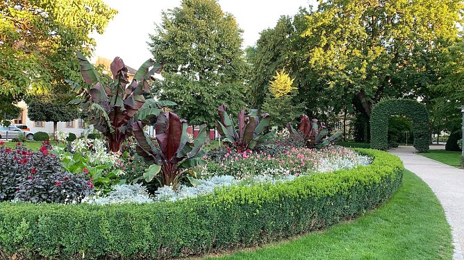 Florale Impressionen aus Bad Langensalza (Foto: Eva Maria Wiegand)