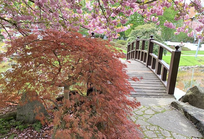 Japanischer Garten in Bad Langensalza (Foto: Eva Maria Wiegand)