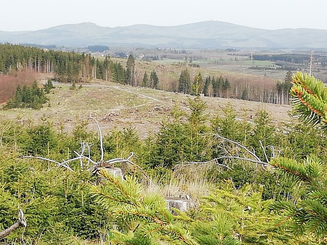 Blick auf den Brocken bei 15 Grad und Sonnenschein (Foto: W. Jörgens) Blick auf den Brocken bei 15 Grad und Sonnenschein (Foto: W. Jörgens)