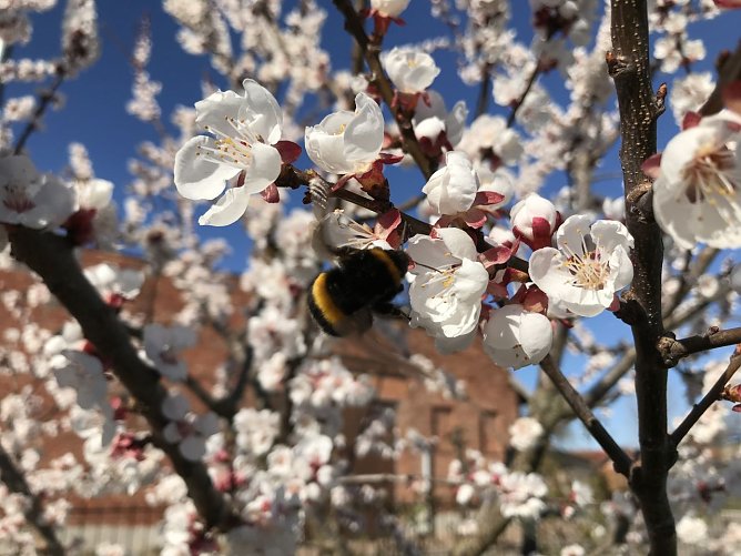 Wetterbild (Foto: S. Hartung) Wetterbild (Foto: S. Hartung)