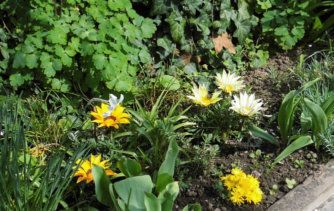 Blick in den Garten (Foto: W. Schumann)