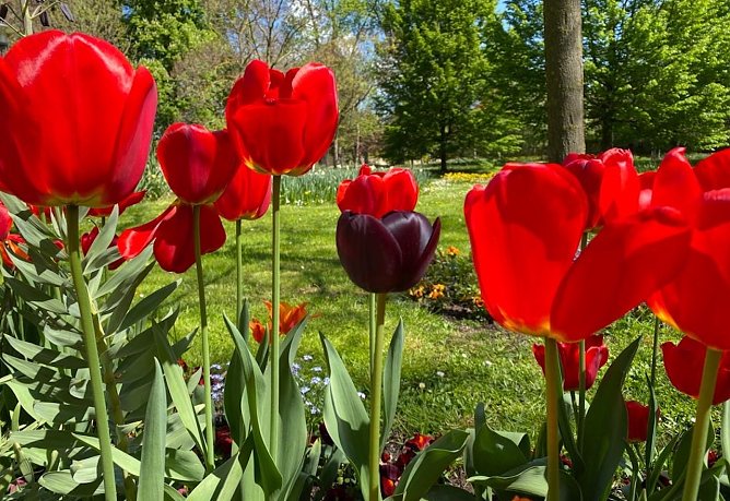 Wetter (Foto: Eva Maria Wiegand)