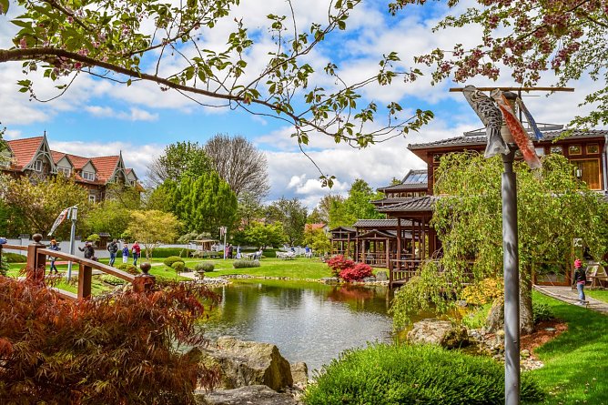 Koi Nobori im japanischen Garten in Bad Langensalza (Foto: KTL Bad Langensalza)
