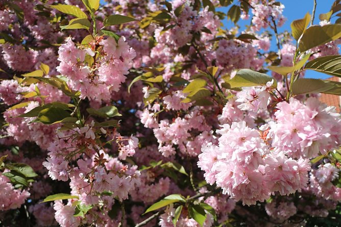 Wetterbild (Foto: agl)