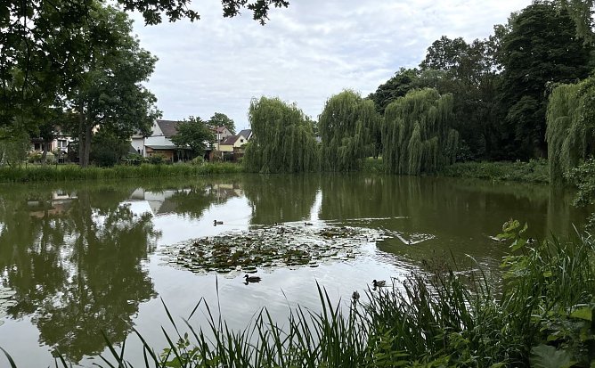 Heftige Regenf&auml;lle bedrohen Veranstaltungen am Samstag (Foto: oas)