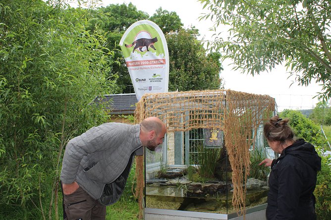  Projektleiter Martin Burmeister und Gesch&auml;ftsf&uuml;hrerin Dr. Katrin Vogel blicken ins neue Schauterrarium (Foto:  &copy; Wildtierland Hainich gGmbH/Romy Kornau)