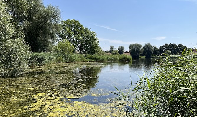 Gewitterneigung nimmt wieder zu (Foto: oas) Gewitterneigung nimmt wieder zu (Foto: oas)