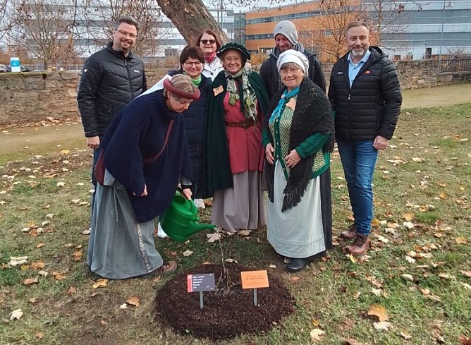 Eine Rose f&uuml;r Dr. Siegfried Lange (Foto: Siegfried Wandelt)