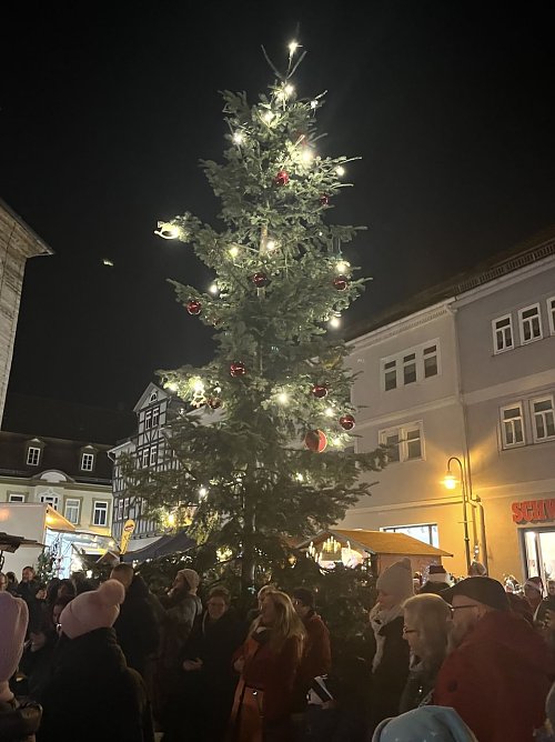 Vielleicht Deutschlands ber&uuml;hmtester, definitiv aber sehenswerter Weihnachtsbaum am Neumarkt (Foto: oas)