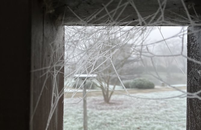 Nachts bleibt es frostig (Foto: oas)
