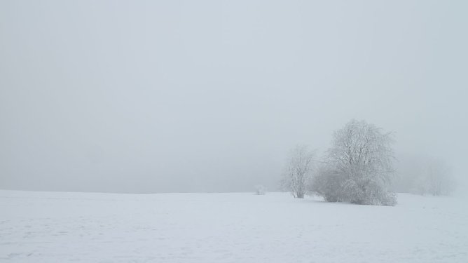 Wetterbild (Foto: agl)