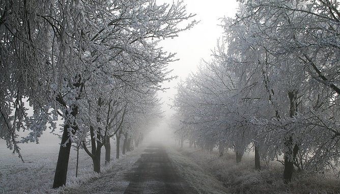 Winter in der Goldenen Aue (Foto: U.Reinboth)