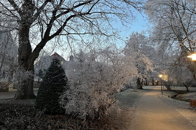 Weitere Nachtfr&ouml;ste bescheren ein winterliches Bild am Morgen (Foto: oas)
