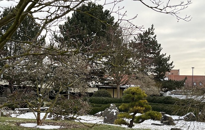 Warten nah den Fr&uuml;hling: Japanischer Garten Bad Langensalza  (Foto: oas)