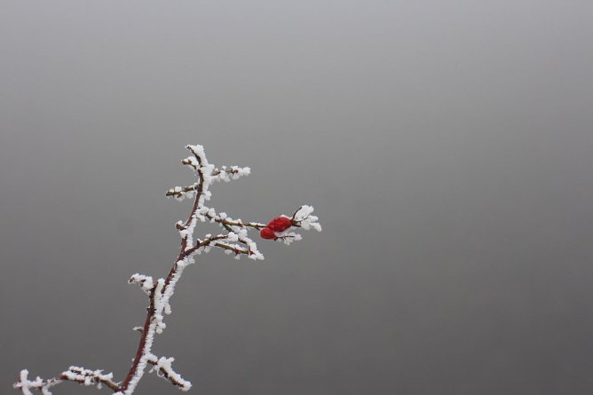 Wetterbild (Foto: agl)
