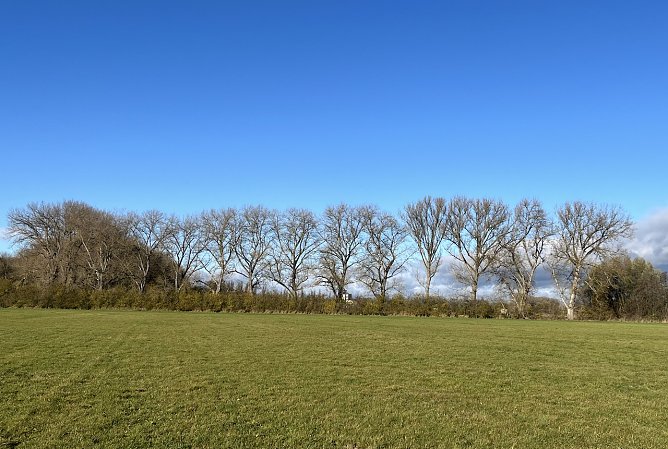 Windig und frostfrei in den n&auml;chsten Tagen (Foto: oas)