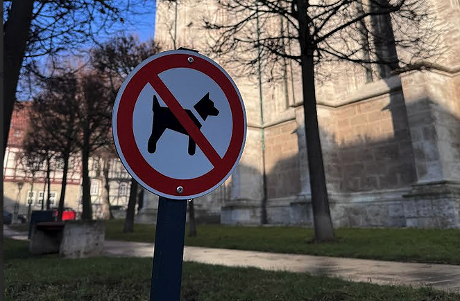 Hundeverbotszone an der Marienkirche (Foto: Stadt M&uuml;hlhausen)