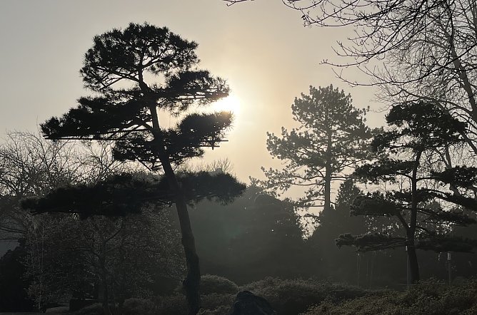 Auch die zweite M&auml;rzh&auml;lfte wartet mit Nachtfr&ouml;sten auf (Foto: oas)
