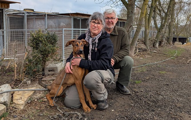 Sabine Stengler-Furkert (Mitte) und R&uuml;diger Fladung (rechts) betreiben mit viel Liebe das Tierzentrum in S&ouml;mmerda und sind f&uuml;r die Sondersh&auml;user Fundtiere zust&auml;ndig, wie hier mit der jungen H&uuml;ndin, die in Sondershausen ausgesetzt wurde und nun auf ein neues Zuhause wartet. (Foto: Janine Skara)