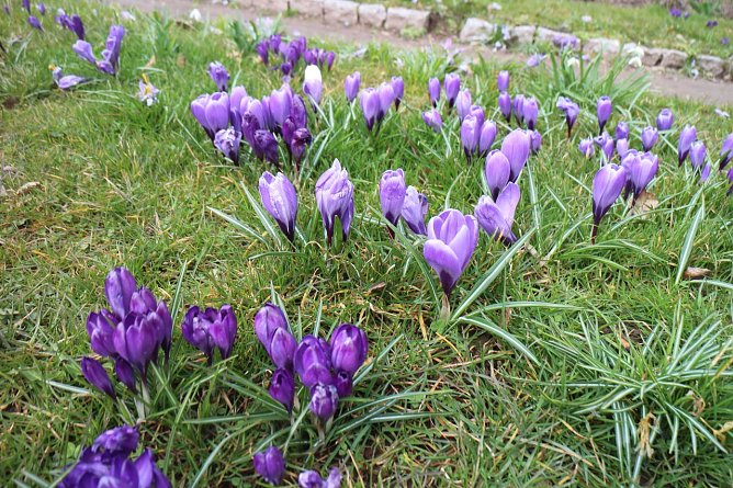 Wetterbild (Foto: agl) Wetterbild (Foto: agl)