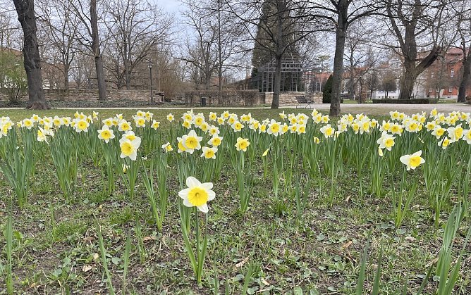 Heute st&uuml;rmisch mir Gewitterneigung (Foto: oas)