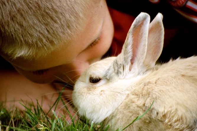 Zwiegespr&auml;ch mit Hoppeline (Foto: Eva Maria Wiegand)