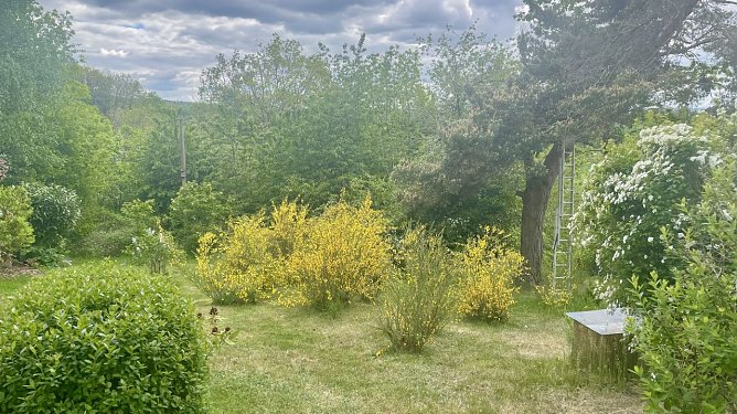 Momentaufnahme in Neustadt (1) (Foto: Volker Weickert)