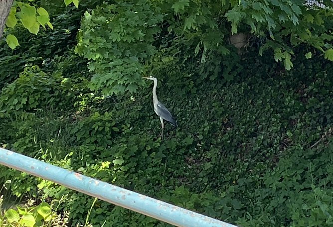 Die ersten Zaungäste sichern sich bereits vor dem Rennen die besten Plätze (Foto: oas) Die ersten Zaungäste sichern sich bereits vor dem Rennen die besten Plätze (Foto: oas)