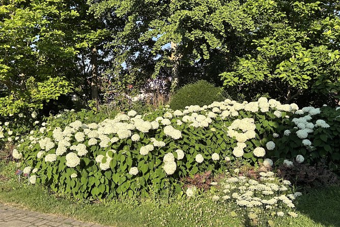 Heute regnerisch und st&uuml;rmisch (Foto: oas)