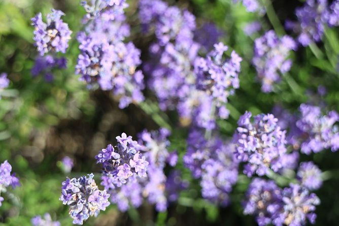 Wetterbild (Foto: agl)