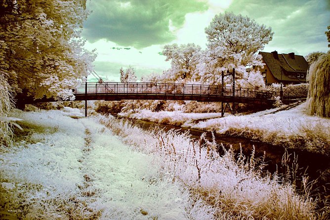 Zorgeufer am Badehaus in Nordhausen an der Fussgängerbrücke (Foto: Christopher Salzmer) Zorgeufer am Badehaus in Nordhausen an der Fussgängerbrücke (Foto: Christopher Salzmer)